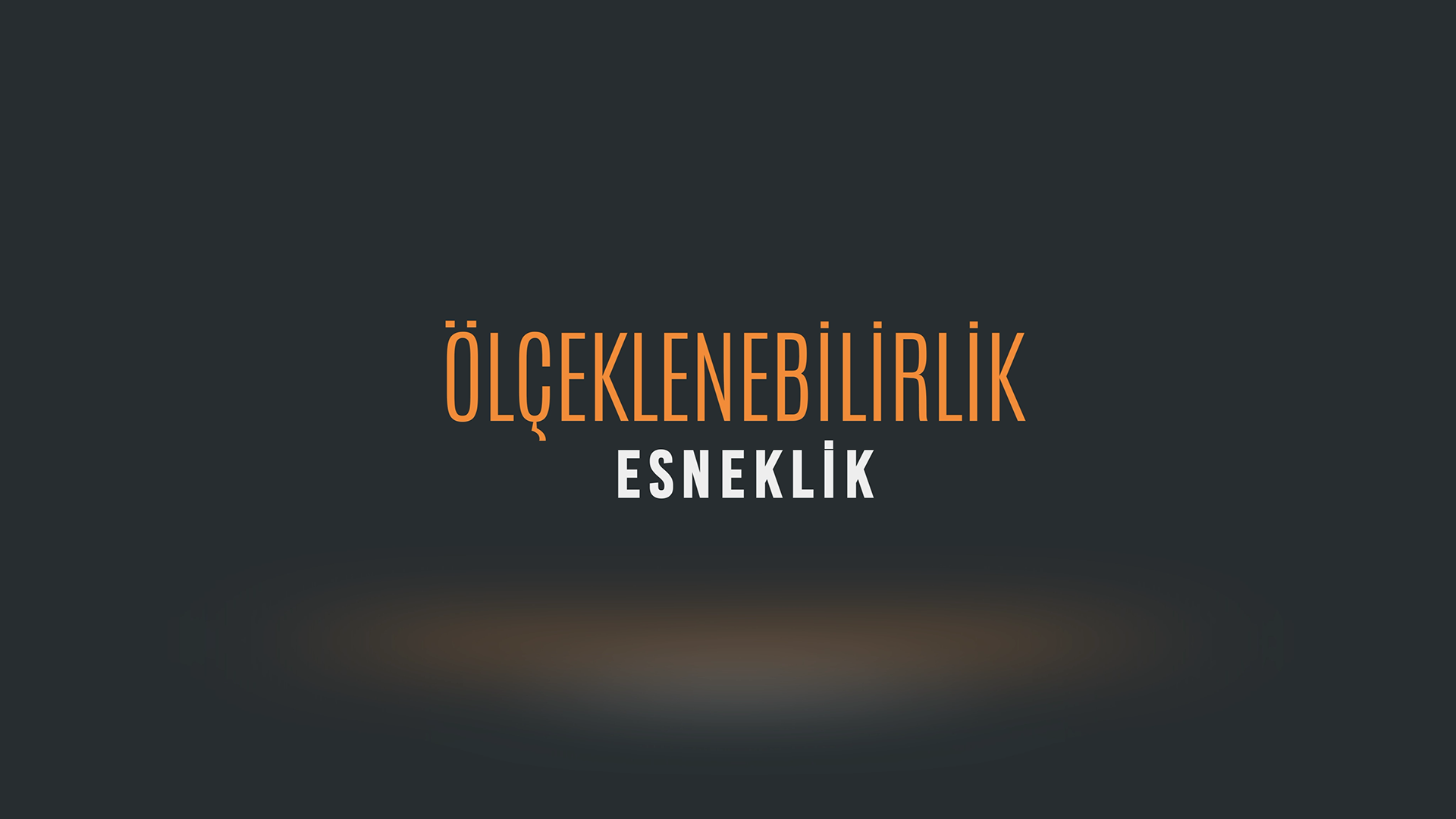 Ölçeklenebilir Esneklik